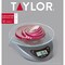 Taylor Taylor Silver Digital Food Scale 11 lb 3831S - alternate 2
